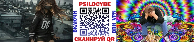 где продают   Петровск  mega ТОР  Псилоцибиновые грибы Magic Shrooms 